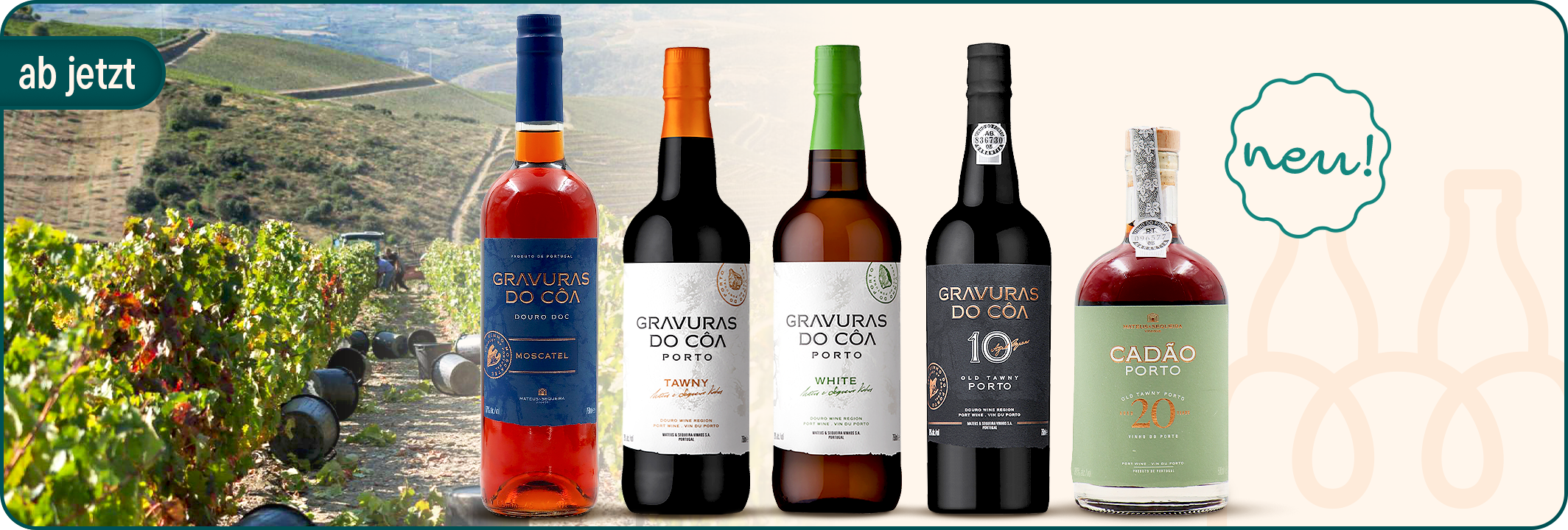 Gravuras do Côa